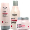 Felps Profissional Xcolor Protector Shampoo 300ml + Condicionador 200ml + Máscara 250g